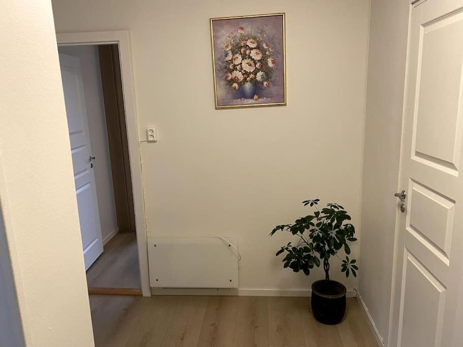 Lovely 2 Bedroom Apartmen With Free Parking ベルゲン エクステリア 写真